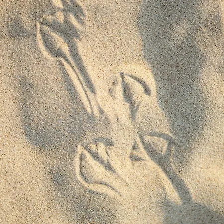 Apartament Artsea Z Basenem Całorocznym -pobierowo Baltic Apartments-sannel For Rent Pobierowo